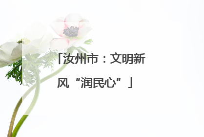 汝州市：文明新风“润民心”