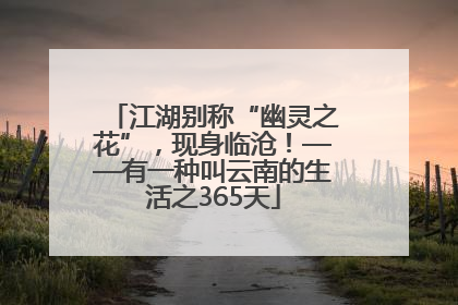 江湖别称“幽灵之花”，现身临沧！——有一种叫云南的生活之365天