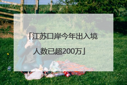 江苏口岸今年出入境人数已超200万