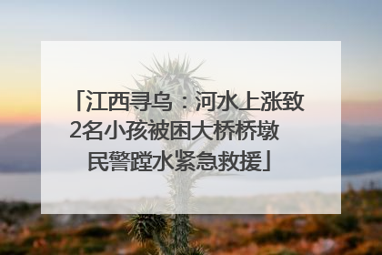 江西寻乌：河水上涨致2名小孩被困大桥桥墩 民警蹚水紧急救援
