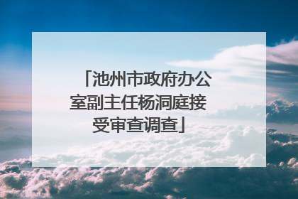 池州市政府办公室副主任杨洞庭接受审查调查