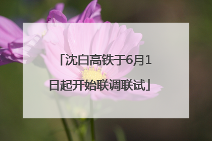 沈白高铁于6月1日起开始联调联试