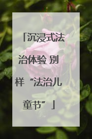 沉浸式法治体验 别样“法治儿童节”