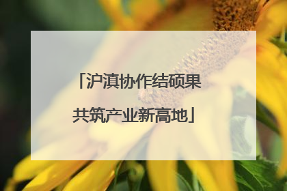 沪滇协作结硕果 共筑产业新高地