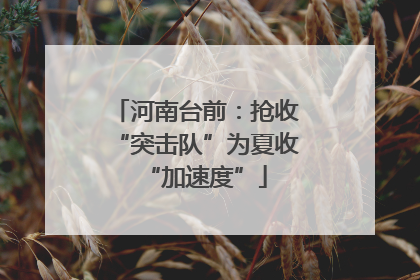 河南台前：抢收“突击队”为夏收“加速度”
