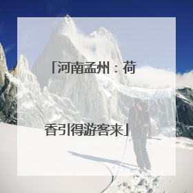 河南孟州：荷香引得游客来