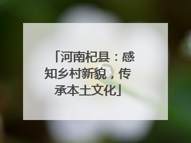 河南杞县：感知乡村新貌，传承本土文化