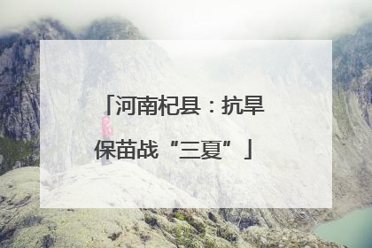河南杞县：抗旱保苗战“三夏”