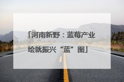 河南新野：蓝莓产业绘就振兴“蓝”图