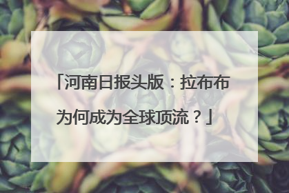 河南日报头版：拉布布为何成为全球顶流？