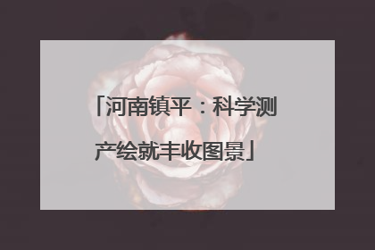 河南镇平：科学测产绘就丰收图景