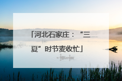 河北石家庄：“三夏”时节麦收忙
