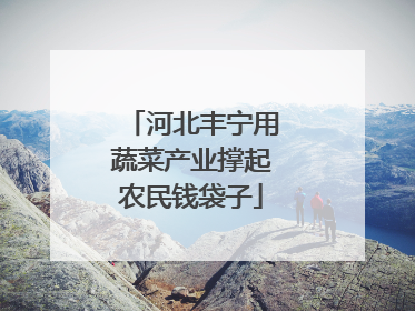 河北丰宁用蔬菜产业撑起农民钱袋子