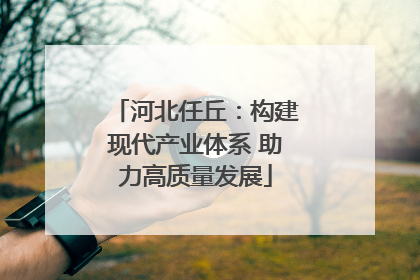 河北任丘：构建现代产业体系 助力高质量发展