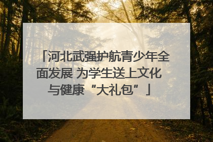 河北武强护航青少年全面发展 为学生送上文化与健康“大礼包”