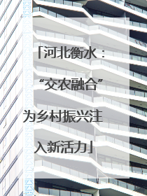 河北衡水：“交农融合”为乡村振兴注入新活力