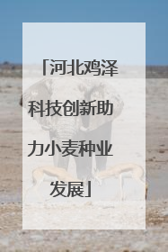 河北鸡泽科技创新助力小麦种业发展