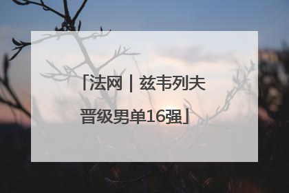 法网｜兹韦列夫晋级男单16强