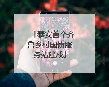 泰安首个齐鲁乡村国债服务站建成