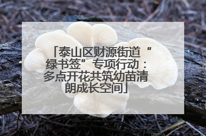 泰山区财源街道“绿书签”专项行动：多点开花共筑幼苗清朗成长空间
