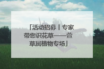 活动招募丨专家带您识花草——萱草属植物专场