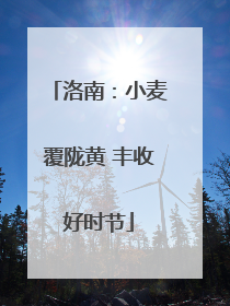 洛南：小麦覆陇黄 丰收好时节
