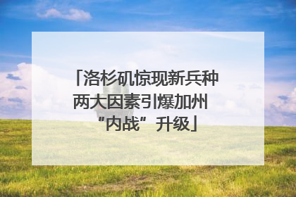 洛杉矶惊现新兵种 两大因素引爆加州“内战”升级