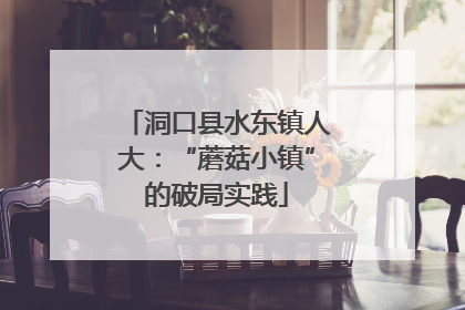 洞口县水东镇人大：“蘑菇小镇”的破局实践