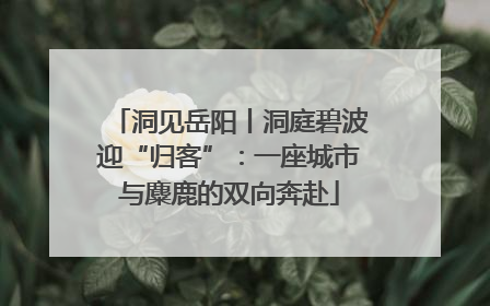 洞见岳阳丨洞庭碧波迎“归客”：一座城市与麋鹿的双向奔赴