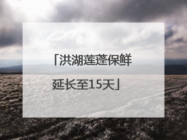 洪湖莲蓬保鲜延长至15天