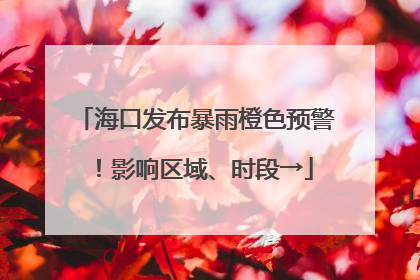 海口发布暴雨橙色预警！影响区域、时段→