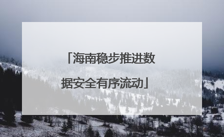 海南稳步推进数据安全有序流动