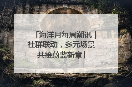 海洋月每周潮讯｜社群联动，多元场景共绘蔚蓝新章