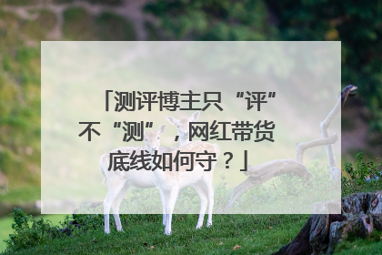 测评博主只“评”不“测”，网红带货底线如何守？