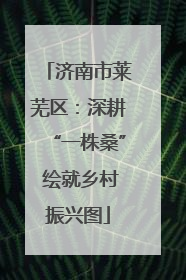 济南市莱芜区：深耕“一株桑” 绘就乡村振兴图