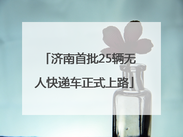 济南首批25辆无人快递车正式上路