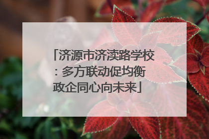 济源市济渎路学校：多方联动促均衡 政企同心向未来
