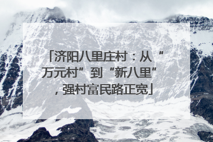 济阳八里庄村：从“万元村”到“新八里”，强村富民路正宽