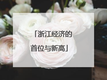 浙江经济的首位与新高
