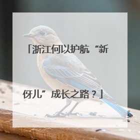 浙江何以护航“新伢儿”成长之路？
