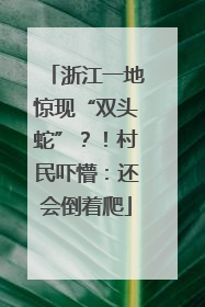 浙江一地惊现“双头蛇”？！村民吓懵：还会倒着爬