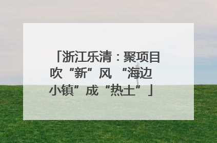 浙江乐清：聚项目吹“新”风 “海边小镇”成“热土”