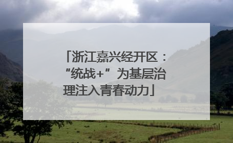 浙江嘉兴经开区：“统战+”为基层治理注入青春动力