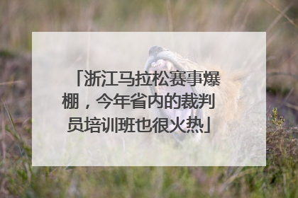 浙江马拉松赛事爆棚，今年省内的裁判员培训班也很火热