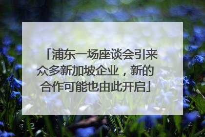 浦东一场座谈会引来众多新加坡企业，新的合作可能也由此开启