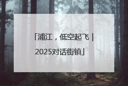 浦江，低空起飞｜2025对话街镇