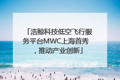 浩鲸科技低空飞行服务平台MWC上海首秀，推动产业创新