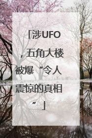 涉UFO，五角大楼被爆“令人震惊的真相”