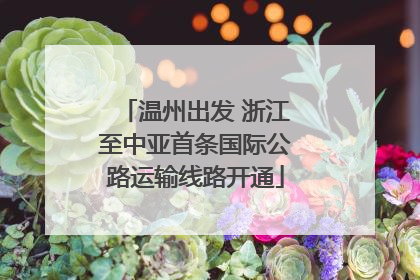 温州出发 浙江至中亚首条国际公路运输线路开通