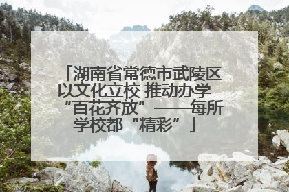 湖南省常德市武陵区以文化立校 推动办学“百花齐放”——每所学校都“精彩”